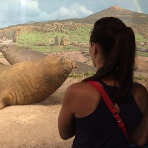 Meet your Posher, Stephanie